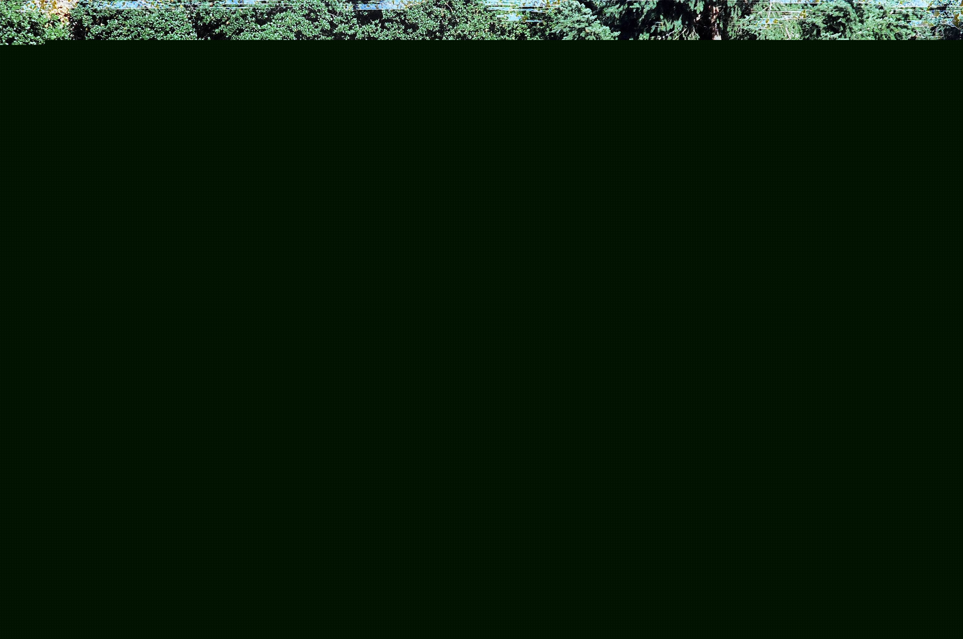07820045.JPG